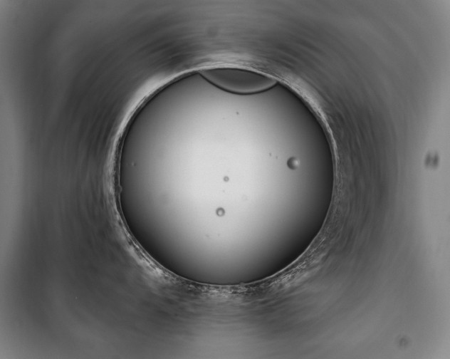 X0000101181104200806271246