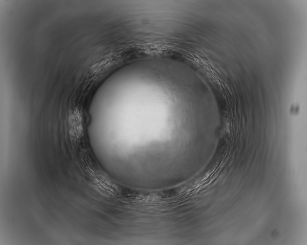 X0000101181106200806271245