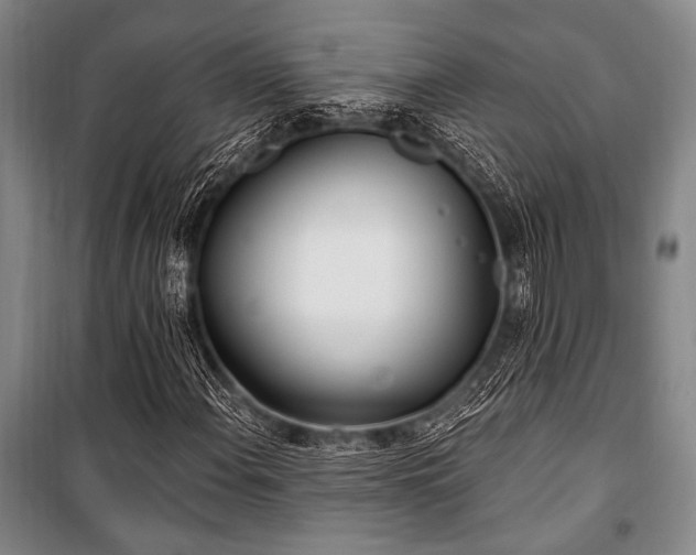 X0000101181108200806271245