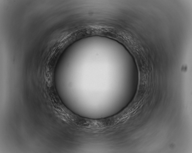 X0000101181109200806271245