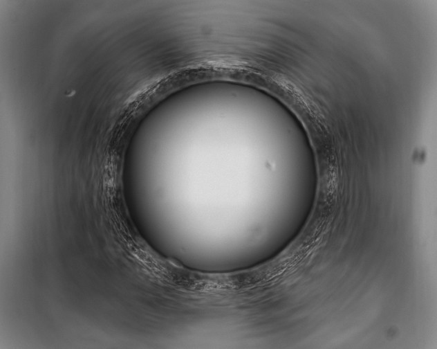 X0000101181110200806271245