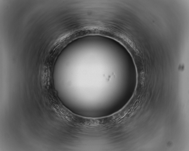 X0000101181111200806271245