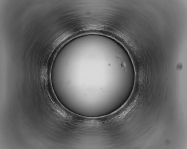 X0000101181113200806271245