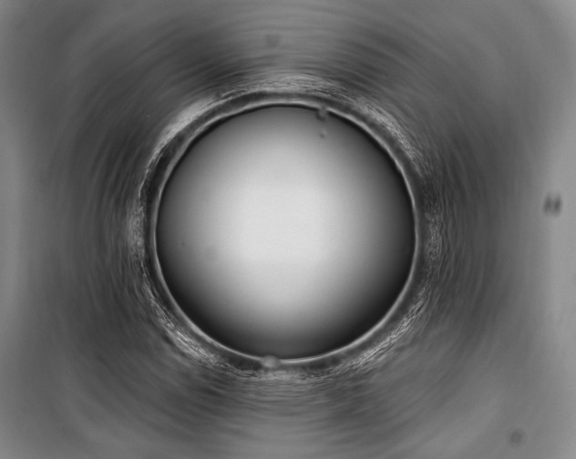 X0000101181114200806271245