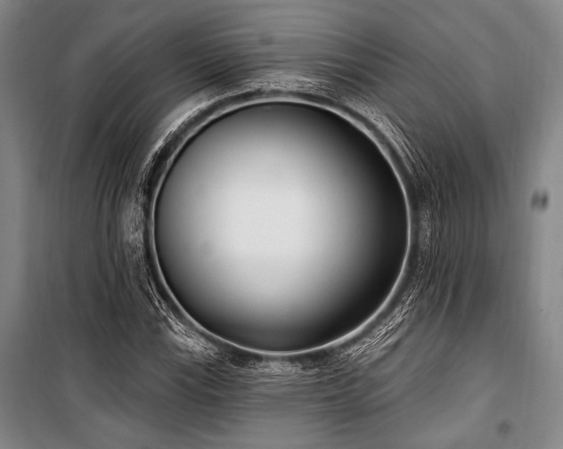 X0000101181115200806271245