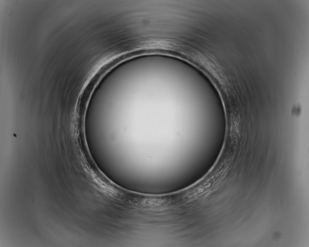X0000101181116200806271245