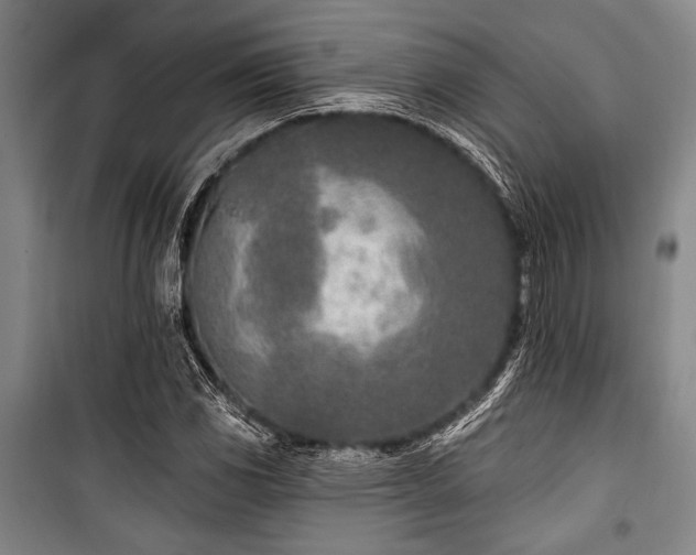 X0000101181117200806271245