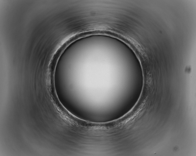 X0000101181118200806271245