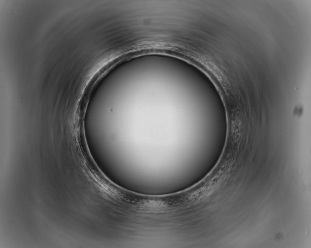 X0000101181119200806271245