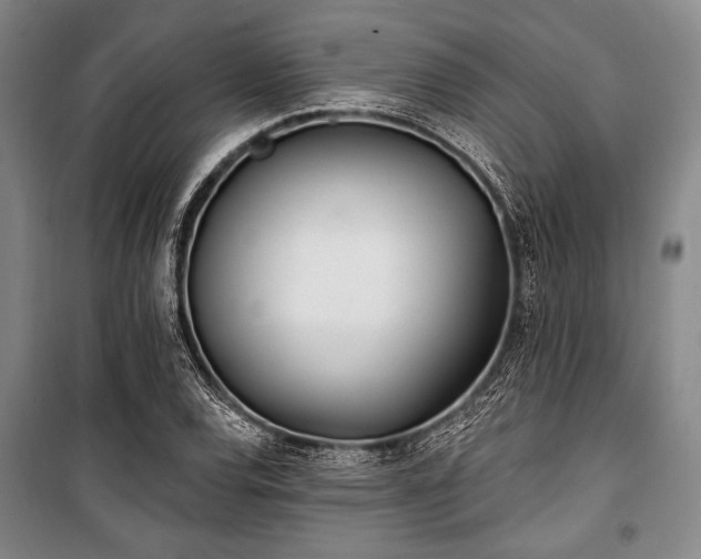 X0000101181120200806271245
