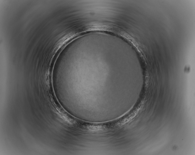 X0000101181121200806271245