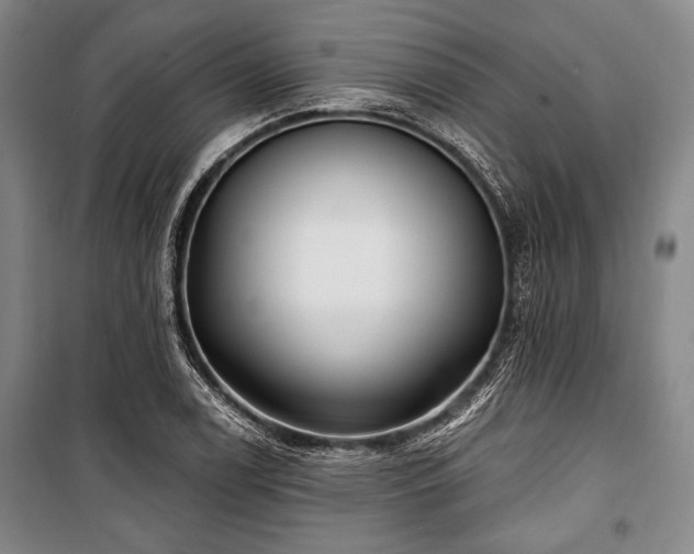X0000101181122200806271245