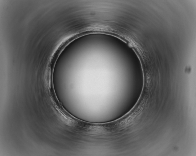 X0000101181123200806271245