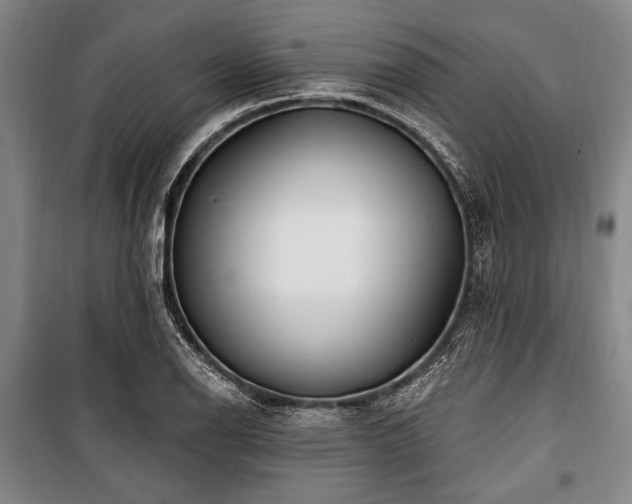X0000101181126200806271245