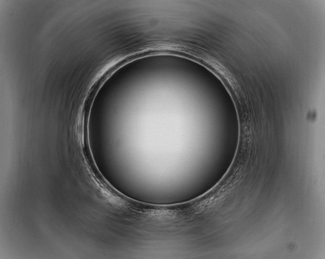 X0000101181127200806271245