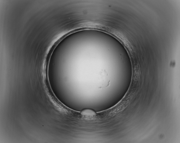 X0000101181128200806271245