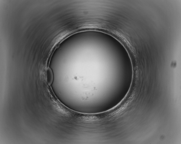 X0000101181129200806271245