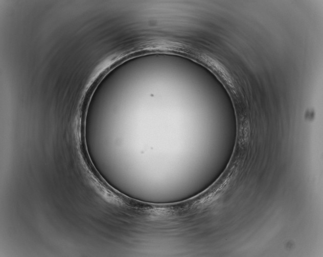 X0000101181130200806271245