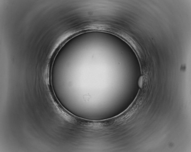 X0000101181131200806271245