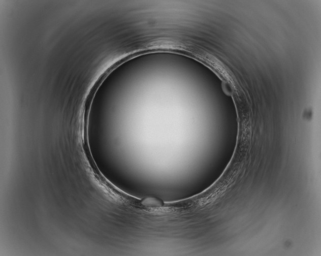 X0000101181132200806271246