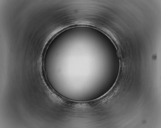 X0000101181133200806271246