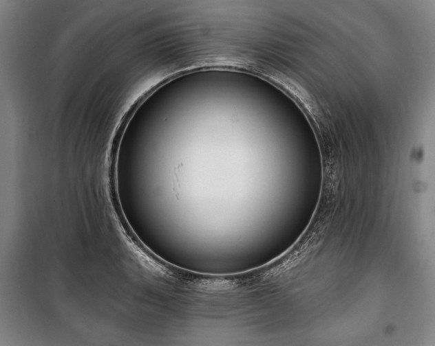 X0000101181135200806271246