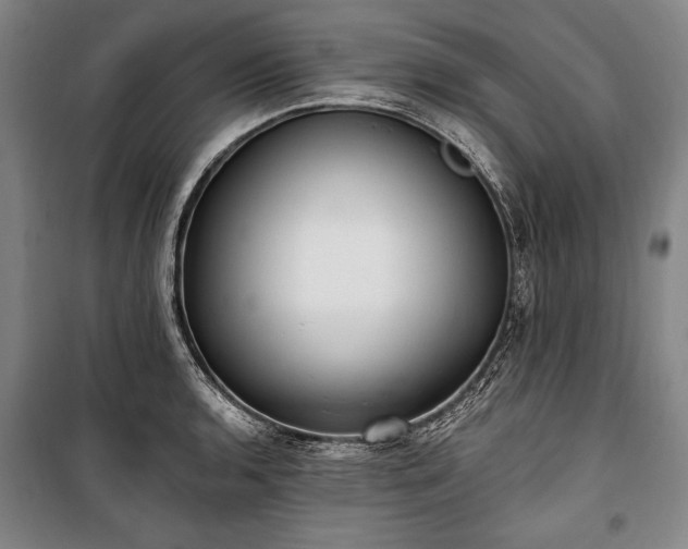 X0000101181136200806271246