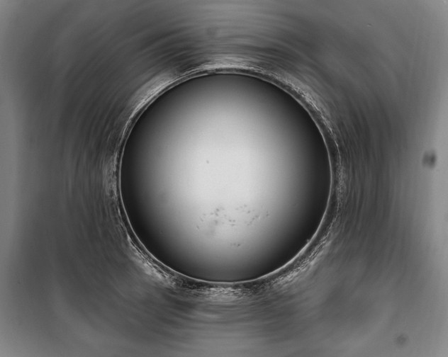 X0000101181137200806271246