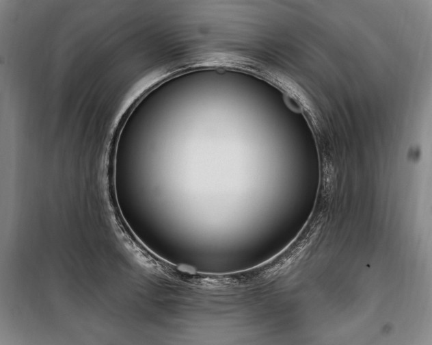 X0000101181138200806271246