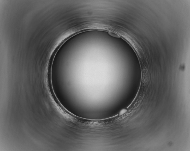 X0000101181139200806271246