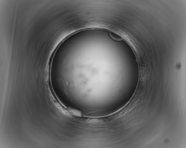 X0000101181140200806271246