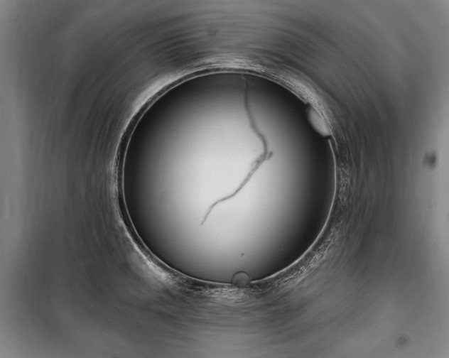 X0000101181141200806271246