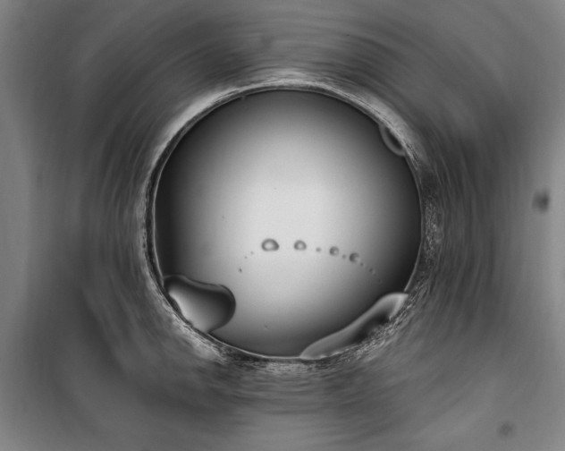 X0000101181142200806271246