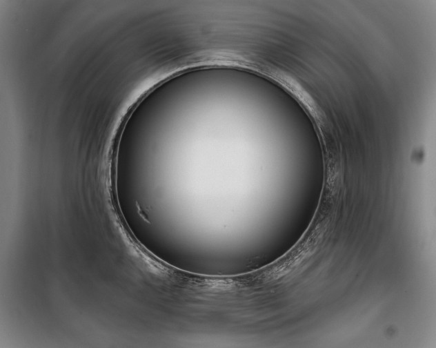X0000101181144200806271246