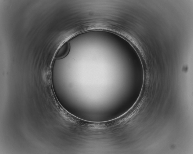 X0000101181145200806271246
