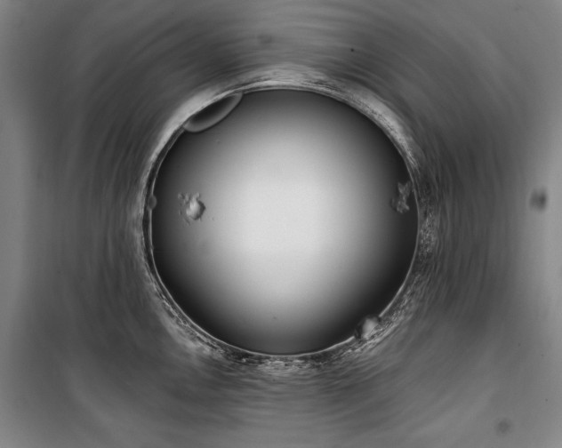 X0000101181146200806271246