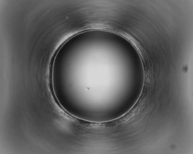 X0000101181147200806271246