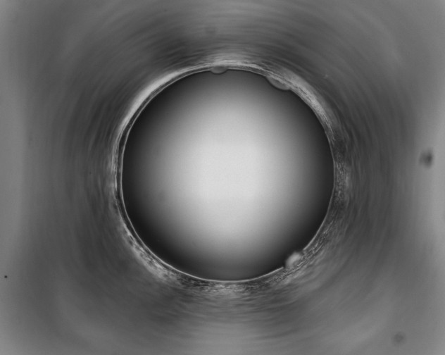 X0000101181148200806271246