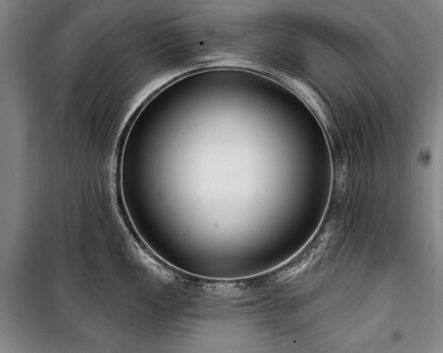 X0000101181149200806271246