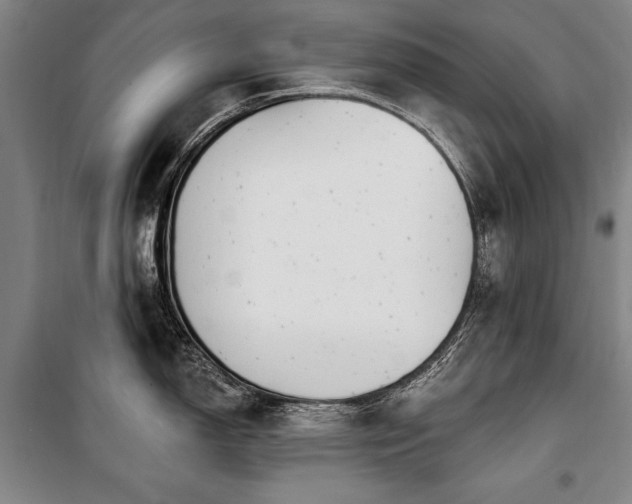 X0000101181150200806271246