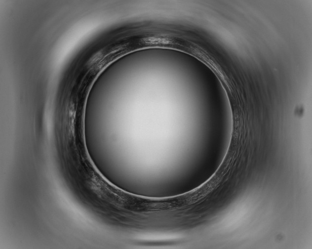 X0000101181151200806271246