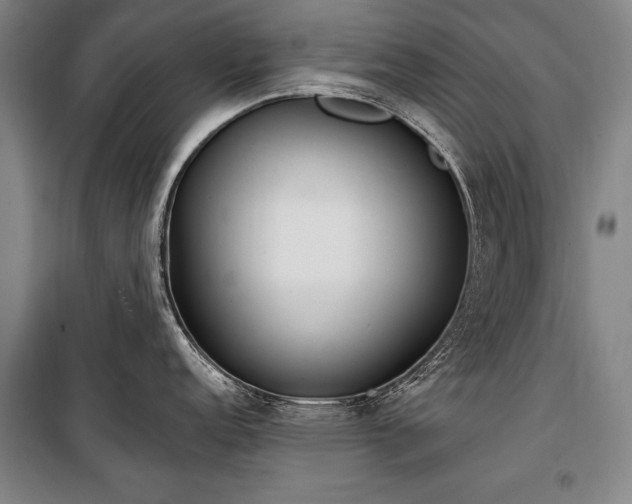 X0000101181152200806271246
