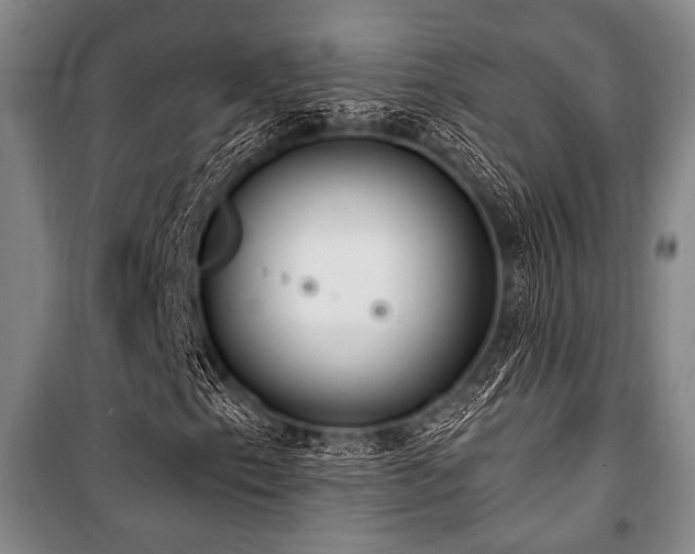 X0000101181153200806271245