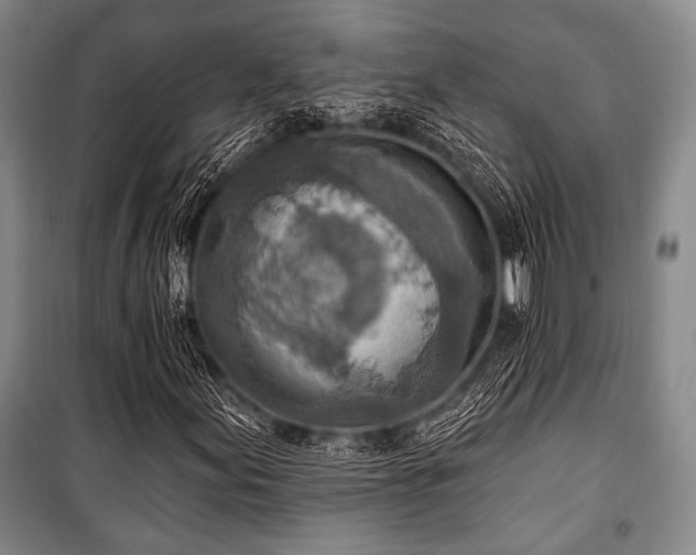 X0000101181155200806271245