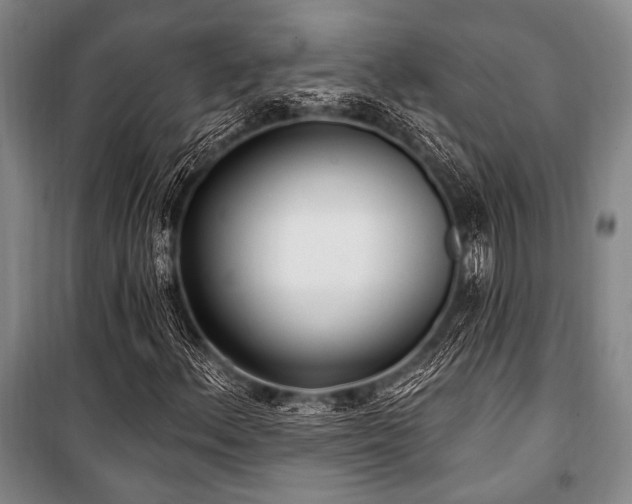 X0000101181156200806271245