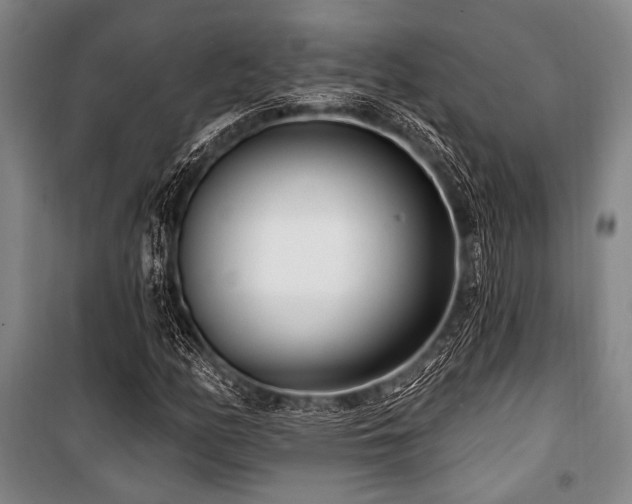 X0000101181158200806271245