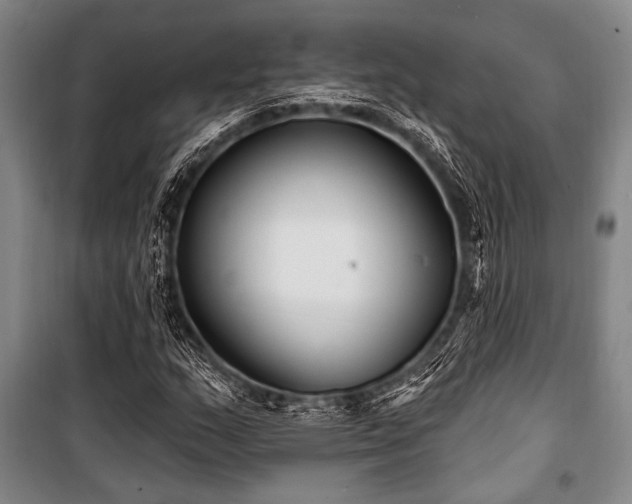 X0000101181159200806271245