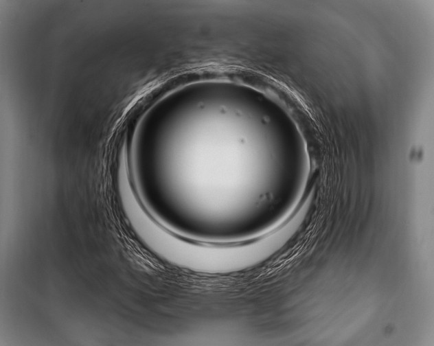 X0000101181160200806271245