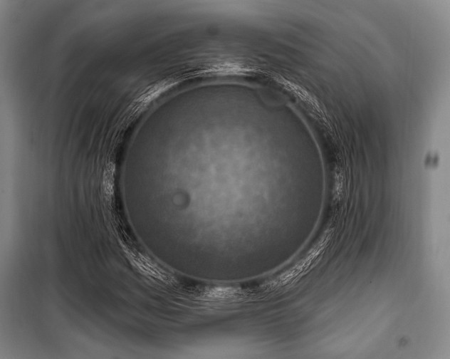 X0000101181161200806271245