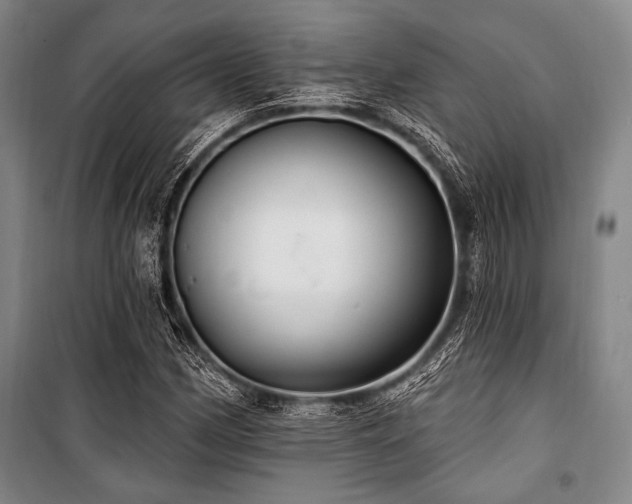 X0000101181162200806271245